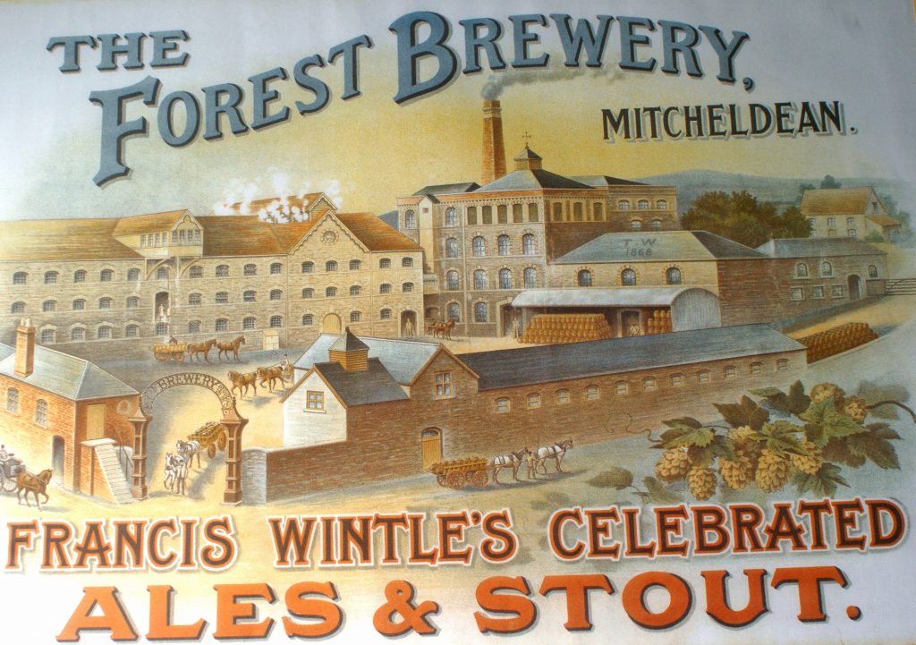 Wintles Brewery, Mitcheldean - Coloured Advert - Celbrated Ales and Stout